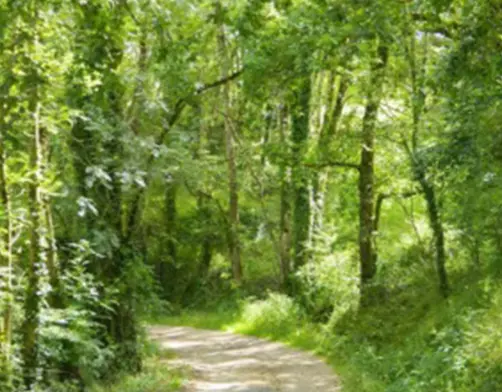 Diaporama